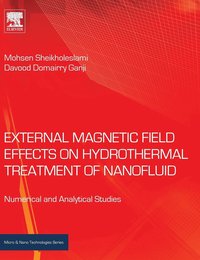 bokomslag External Magnetic Field Effects on Hydrothermal Treatment of Nanofluid