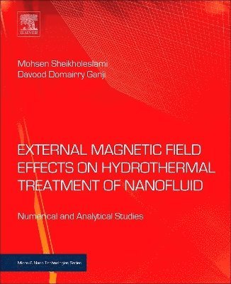 bokomslag External Magnetic Field Effects on Hydrothermal Treatment of Nanofluid