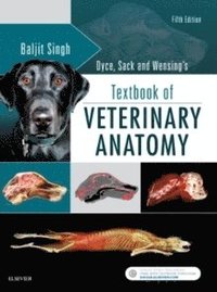 bokomslag Dyce, Sack, and Wensing's Textbook of Veterinary Anatomy