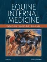 bokomslag Equine Internal Medicine