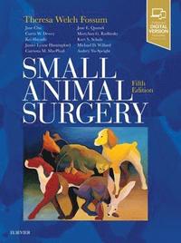bokomslag Small Animal Surgery