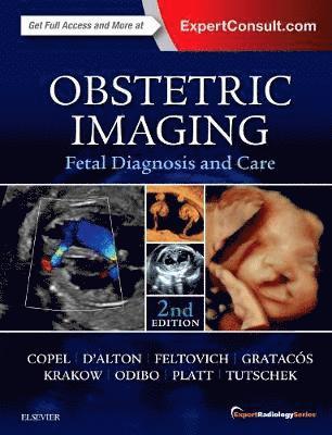 bokomslag Obstetric Imaging: Fetal Diagnosis and Care