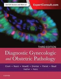 bokomslag Diagnostic Gynecologic and Obstetric Pathology