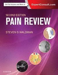 bokomslag Pain Review