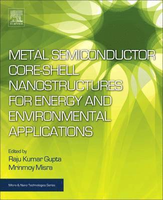 bokomslag Metal Semiconductor Core-shell Nanostructures for Energy and Environmental Applications