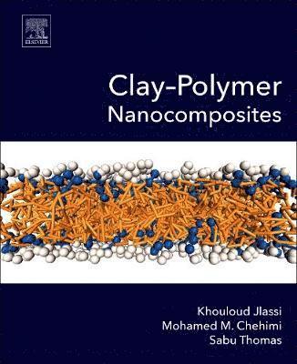bokomslag Clay-Polymer Nanocomposites