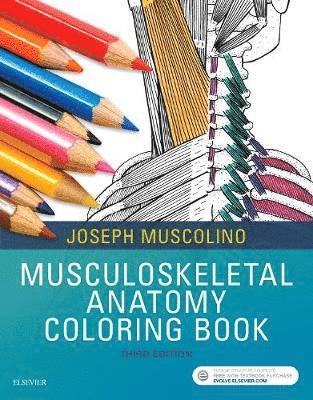 bokomslag Musculoskeletal Anatomy Coloring Book