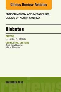 bokomslag Diabetes, An Issue of Endocrinology and Metabolism Clinics of North America