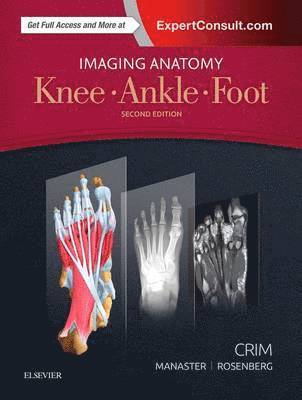 Julia Crim, B. J. Manaster, Zehava Sadka Rosenberg, Julia R. Crim - Imaging Anatomy: Knee, Ankle, Foot, Inbunden