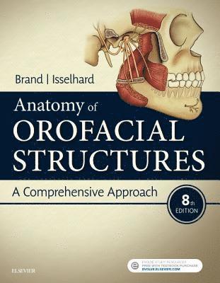 bokomslag Anatomy of Orofacial Structures