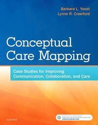 bokomslag Conceptual Care Mapping
