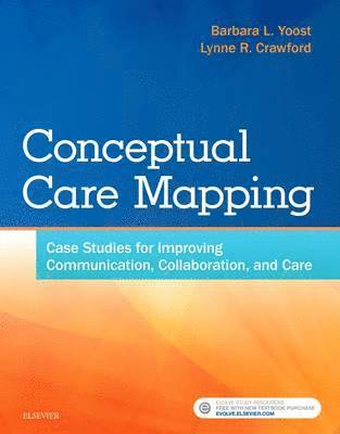 bokomslag Conceptual Care Mapping