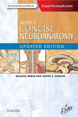 bokomslag Netter's Concise Neuroanatomy Updated Edition