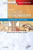 Michael A. Rubin, Joseph E. Safdieh - Netter's Concise Neuroanatomy Updated Edition, Häftad
