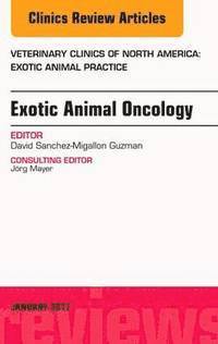 bokomslag Exotic Animal Oncology, An Issue of Veterinary Clinics of North America: Exotic Animal Practice