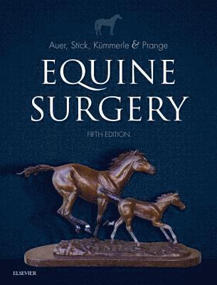 bokomslag Equine Surgery