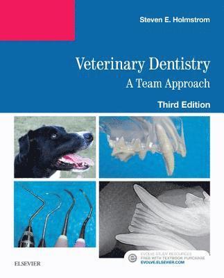 bokomslag Veterinary Dentistry: A Team Approach