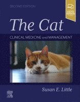 Susan E. Little - The Cat, Inbunden