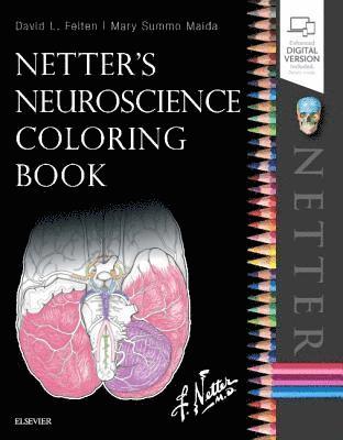 bokomslag Netter's Neuroscience Coloring Book