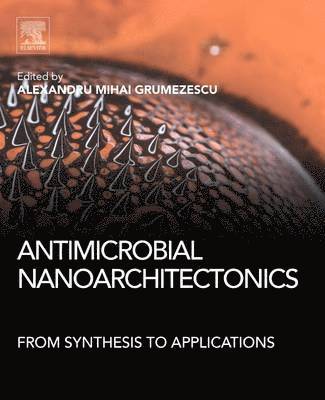 bokomslag Antimicrobial Nanoarchitectonics