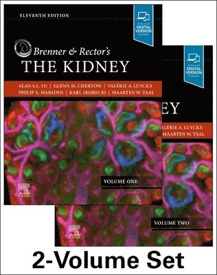 bokomslag Brenner and Rector's The Kidney, 2-Volume Set