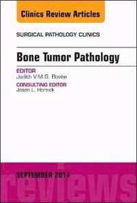 bokomslag Bone Tumor Pathology, An Issue of Surgical Pathology Clinics