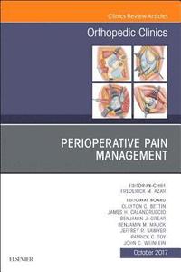 bokomslag Perioperative Pain Management, An Issue of Orthopedic Clinics