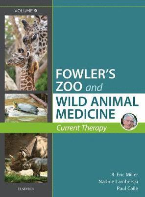bokomslag Miller - Fowler's Zoo and Wild Animal Medicine Current Therapy, Volume 9