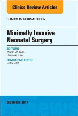 bokomslag Minimally Invasive Neonatal Surgery, An Issue of Clinics in Perinatology