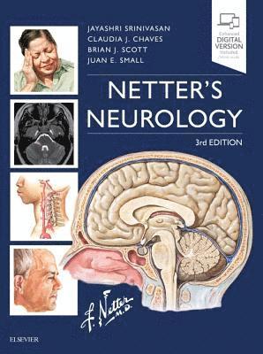 bokomslag Netter's Neurology