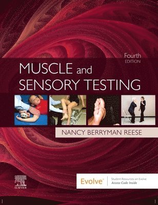 Muscle and Sensory Testing 1