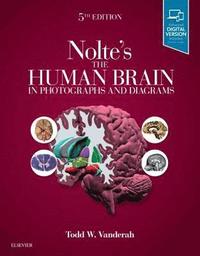bokomslag Nolte's The Human Brain in Photographs and Diagrams