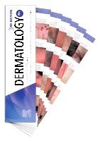 James G. H. Dinulos, M. Shane Chapman, Andrew E. Werchniak, Dorothea T. Barton, Thomas P. Habif, USA) Chapman, M. Shane (Associate Professor, Geisel School of Medicine at Dartmouth, Section of Dermatology, Department of Surgery, Dartmouth-Hitchcock Medical Center, Hanover and Lebanon, NH, USA) Werchniak, Andrew E., MD (Clinical Professor, Geisel School of Medicine at Dartmouth, Section of Dermatology, Department of Surgery, Dartmouth-Hitchcock Medical Center, Hanover and Lebanon, NH, USA) Barton, Dorothea T., MD (Assistant Professor of Dermatology, Section of Dermatology, Department of Surgery, Dartmouth-Hitchcock Medical Center, Hanover and Lebanon, NH, USA) Habif, Thomas P. (Adjunct Professor (Dermatology), Department of Surgery, Geisel School of Medicine at Dartmouth and Dartmouth-Hitchcock Medical Center, Hanover and Lebanon, New Hampshire, James G Dinulos, M Shane Chapman, Andrew Eugene Werchniak, Dorothea T Barton, Thomas P Habif - Dermatology DDX Deck, Häftad