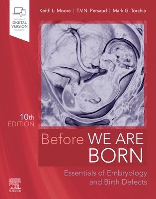 Before We Are Born 1