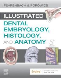 bokomslag Illustrated Dental Embryology, Histology, and Anatomy