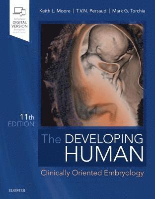 The Developing Human 1