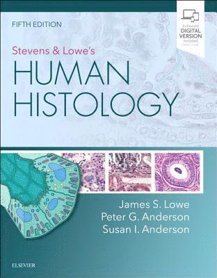 Lowe, J: Stevens & Lowe's Human Histology