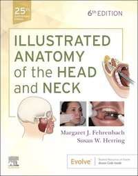 bokomslag Illustrated Anatomy of the Head and Neck