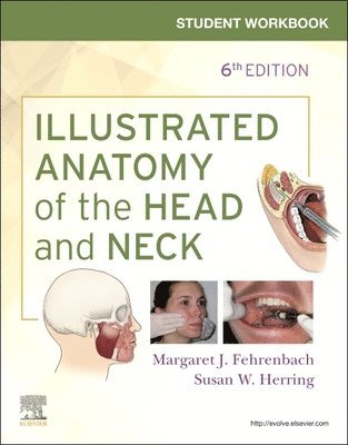 bokomslag Student Workbook for Illustrated Anatomy of the Head and Neck