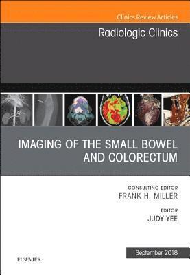 bokomslag Imaging of the Small Bowel and Colorectum, An Issue of Radiologic Clinics of North America