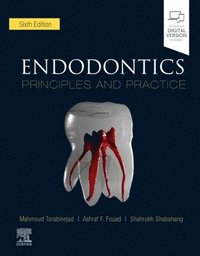 bokomslag Endodontics: Principles and Practice