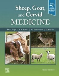 bokomslag Sheep, Goat, and Cervid Medicine