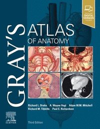bokomslag Gray's Atlas of Anatomy