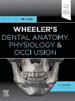 bokomslag Wheeler's Dental Anatomy, Physiology and Occlusion