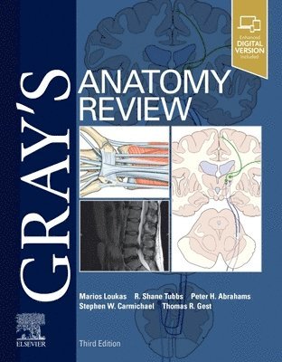 bokomslag Gray's Anatomy Review