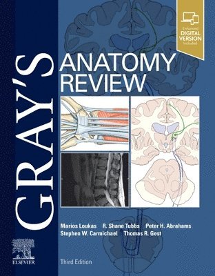 Gray's Anatomy Review 1