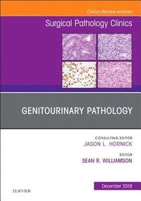 bokomslag Genitourinary Pathology, An Issue of Surgical Pathology Clinics