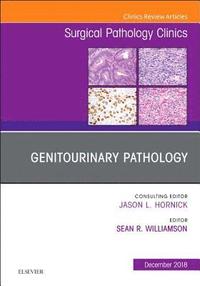 bokomslag Genitourinary Pathology, An Issue of Surgical Pathology Clinics