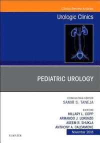 bokomslag Pediatric Urology, An Issue of Urologic Clinics