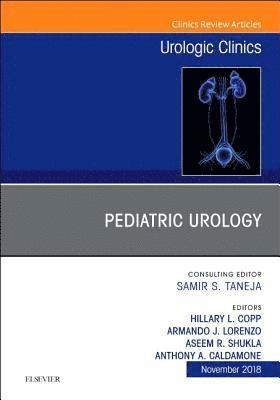 bokomslag Pediatric Urology, An Issue of Urologic Clinics